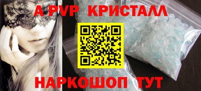 спиды Кингисепп
